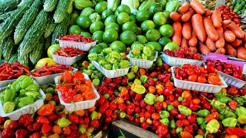 primeur-LA PENNE-min_farmers-market-1329008